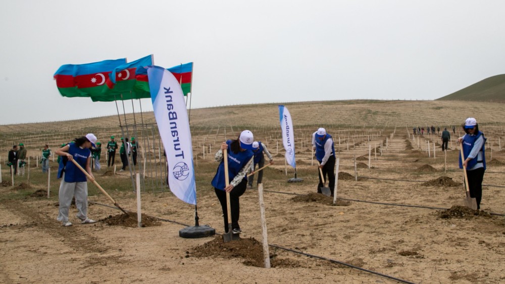 TuranBank ağacəkmə aksiyasında iştirak edib